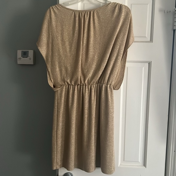 Gold Slip Dress - Picture 5 of 5